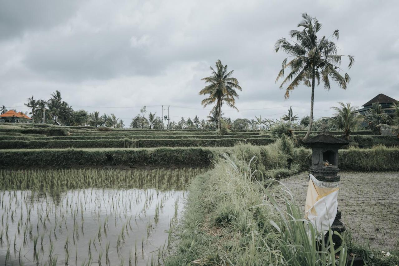 The Ning Resort Ubud エクステリア 写真