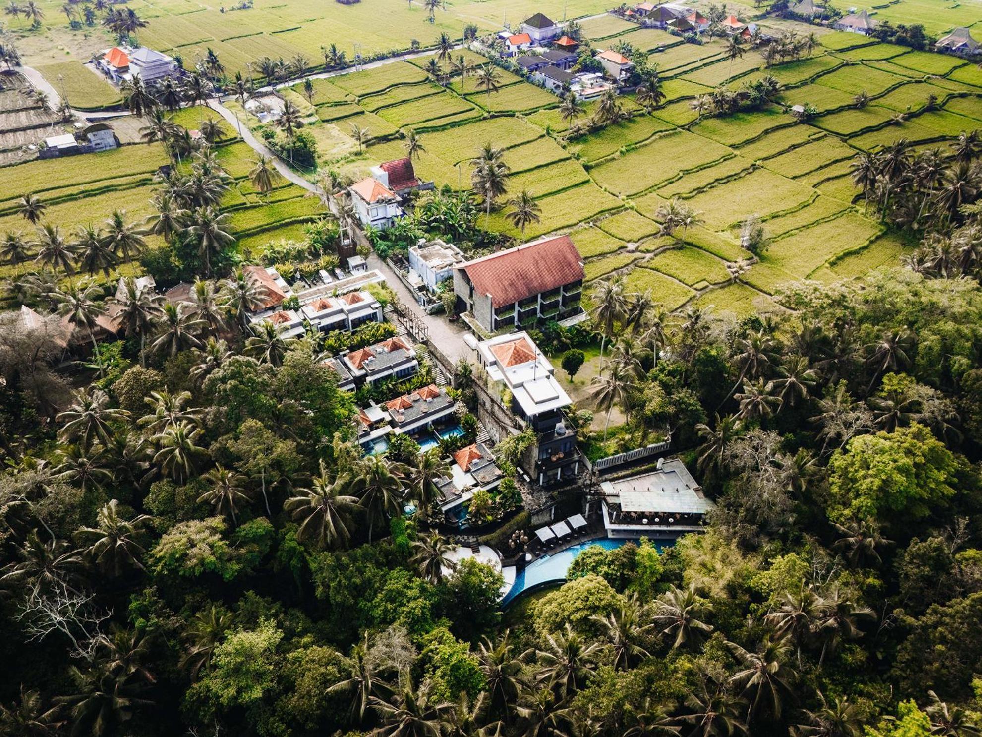The Ning Resort Ubud エクステリア 写真